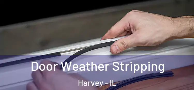  Door Weather Stripping Harvey - IL
