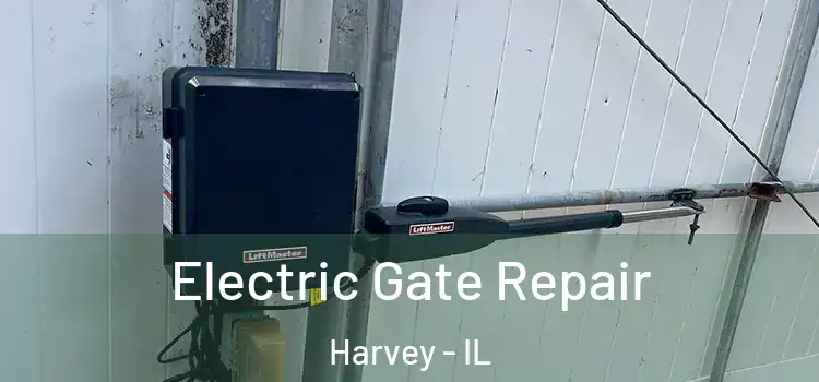  Electric Gate Repair Harvey - IL
