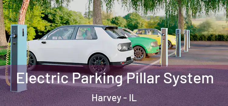  Electric Parking Pillar System Harvey - IL
