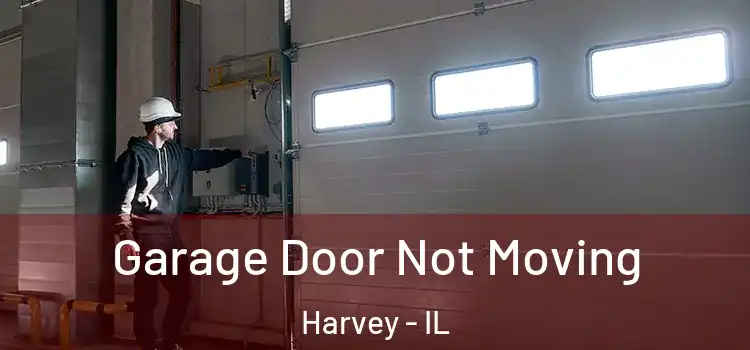  Garage Door Not Moving Harvey - IL
