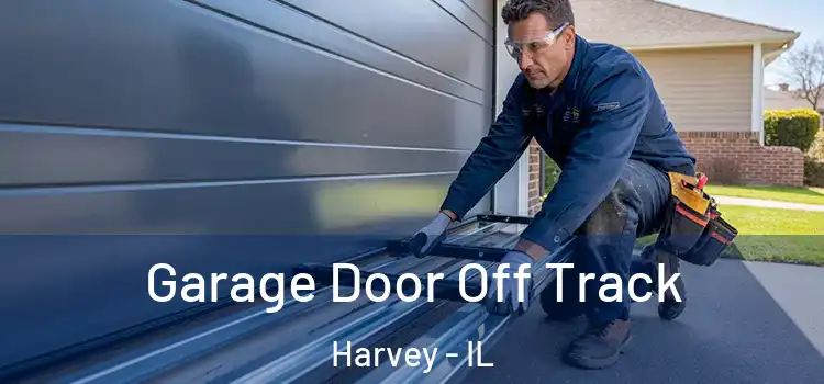  Garage Door Off Track Harvey - IL
