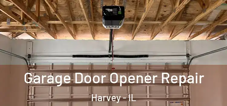  Garage Door Opener Repair Harvey - IL
