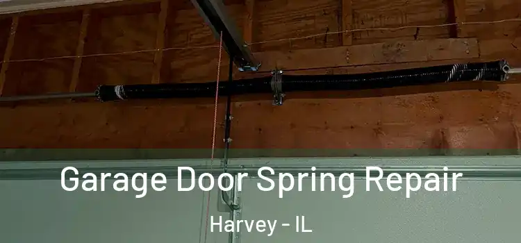 Garage Door Spring Repair Harvey - IL