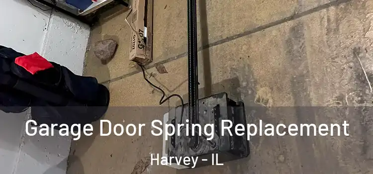  Garage Door Spring Replacement Harvey - IL