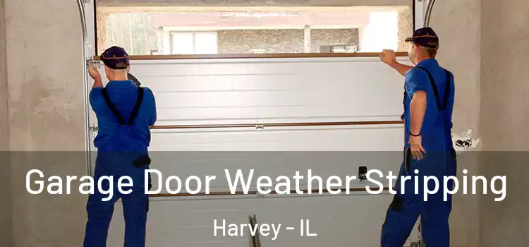  Garage Door Weather Stripping Harvey - IL