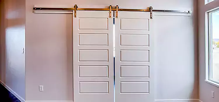 Glass Barn Door with Installation Hardware Kit Harvey