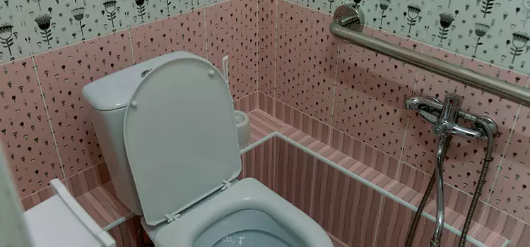 Meeting Diverse Needs With Accessible Restroom Solutions in Harvey, IL