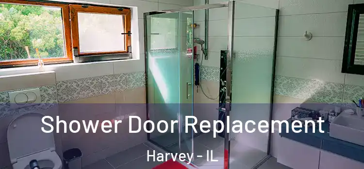  Shower Door Replacement Harvey - IL