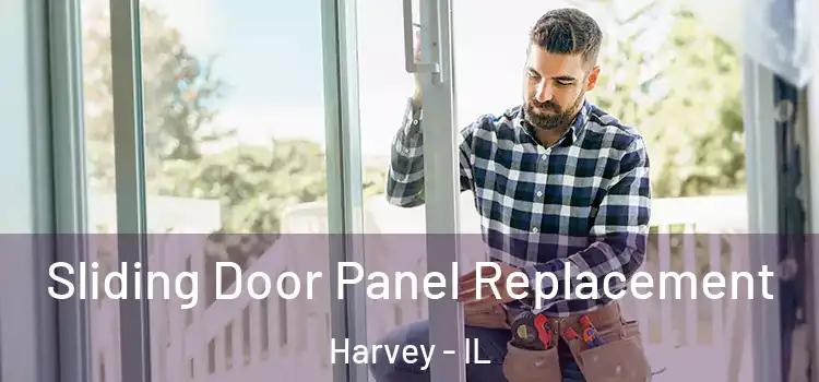  Sliding Door Panel Replacement Harvey - IL
