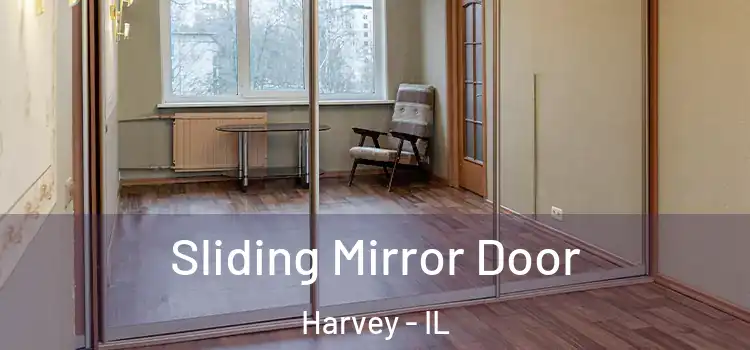  Sliding Mirror Door Harvey - IL